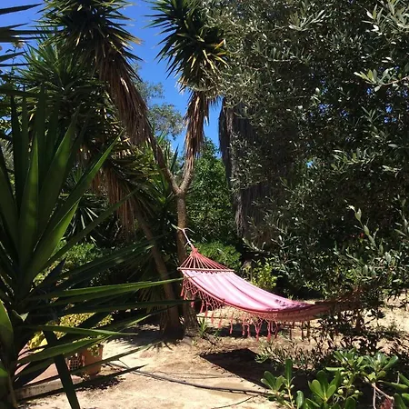 Kefalonia - Marias - 2 Bedroom In Orchard, Apartment